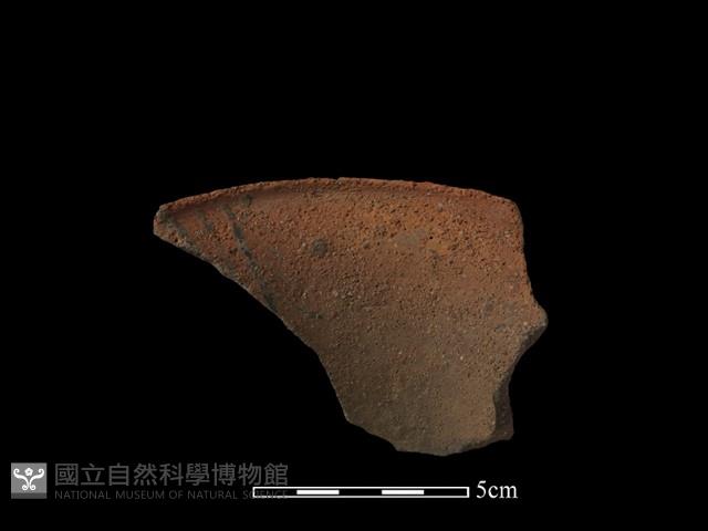 陶罐藏品圖，第3張