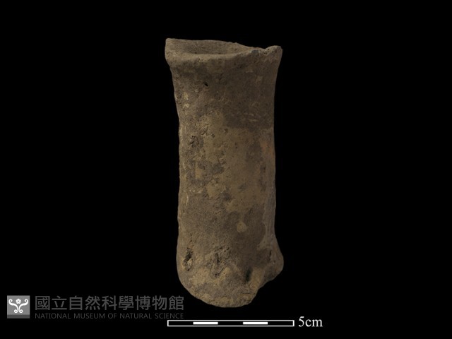 獸足藏品圖，第3張
