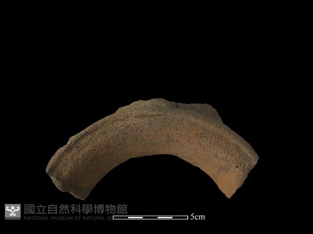 陶罐藏品圖，第4張