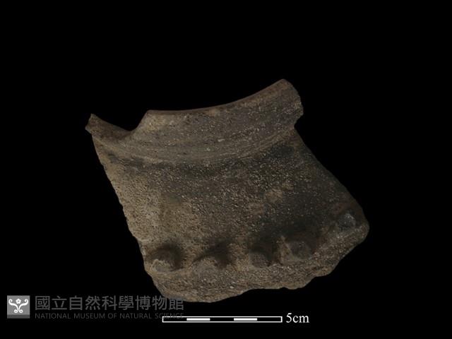 陶罐藏品圖，第4張