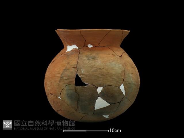 陶罐藏品圖，第2張