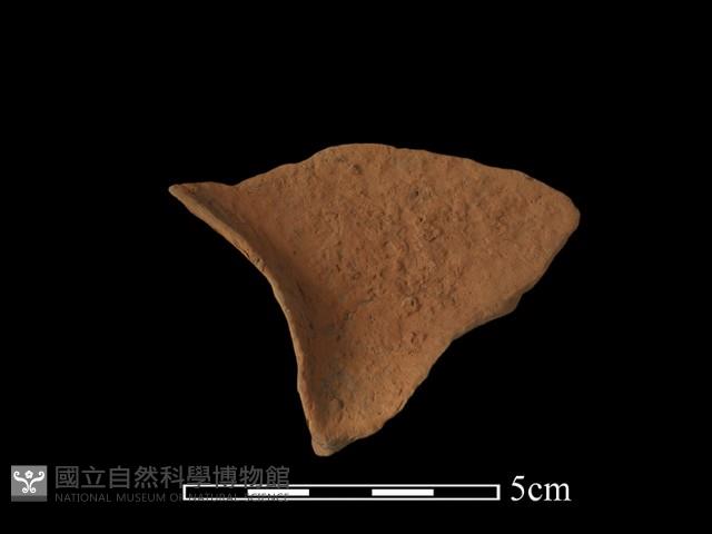 連杯形器藏品圖，第1張