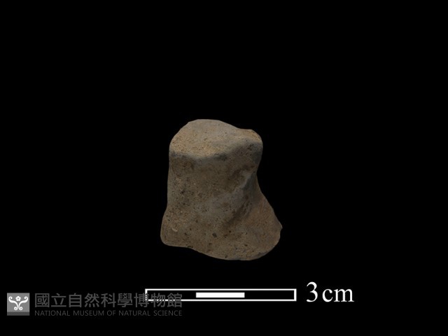 陶蓋鈕藏品圖，第3張
