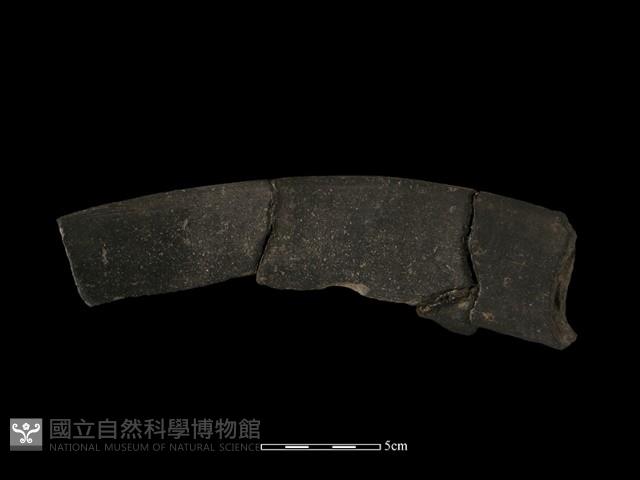 陶罐藏品圖，第3張