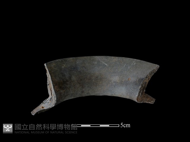 陶罐藏品圖，第2張