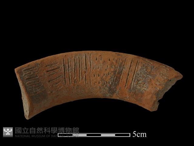 陶罐藏品圖，第1張