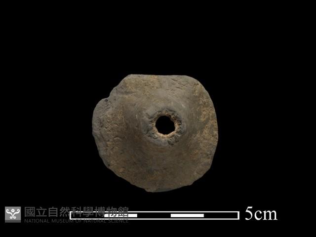 Accession Number:NP-2010-0015 Collection Image, Figure 3, Total 4 Figures