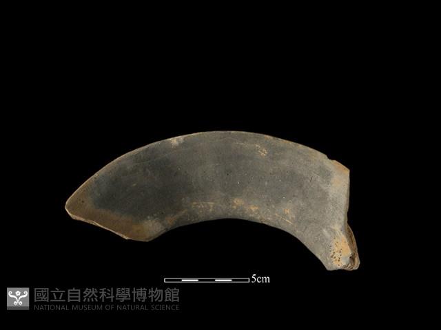 陶罐藏品圖，第3張