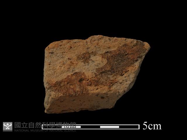 陶罐藏品圖，第3張