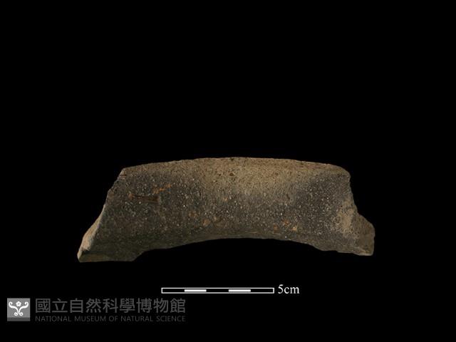 陶罐藏品圖，第3張