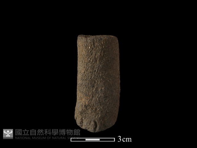 獸足藏品圖，第3張