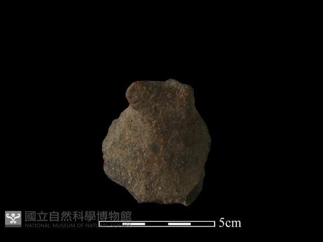 陶蓋鈕藏品圖，第3張