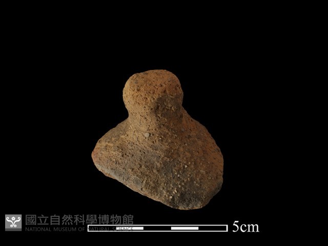 陶蓋鈕藏品圖，第3張