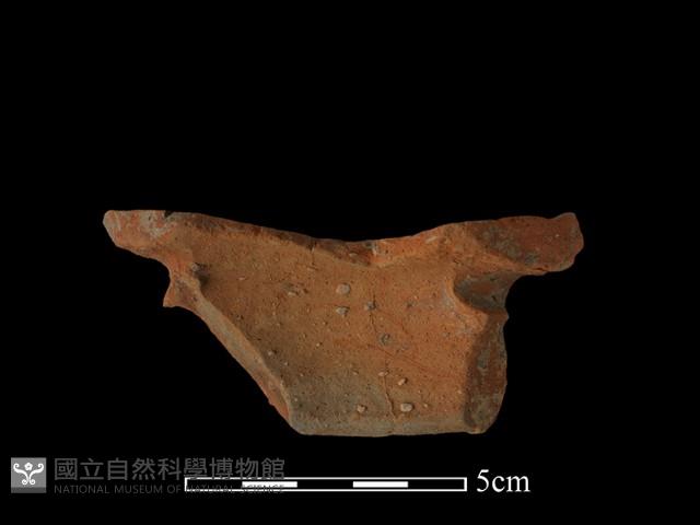 陶罐藏品圖，第3張