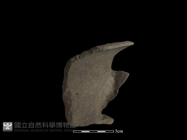 陶罐藏品圖，第3張