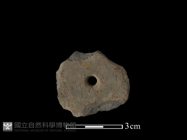 紡輪藏品圖，第1張