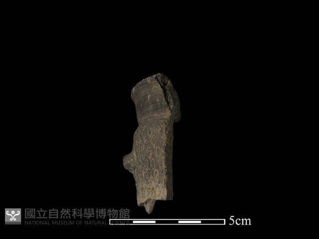 陶缽藏品圖，第1張