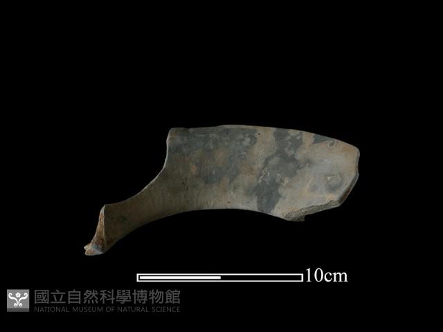 Accession Number:NSK-2012-253 Collection Image, Figure 1, Total 2 Figures