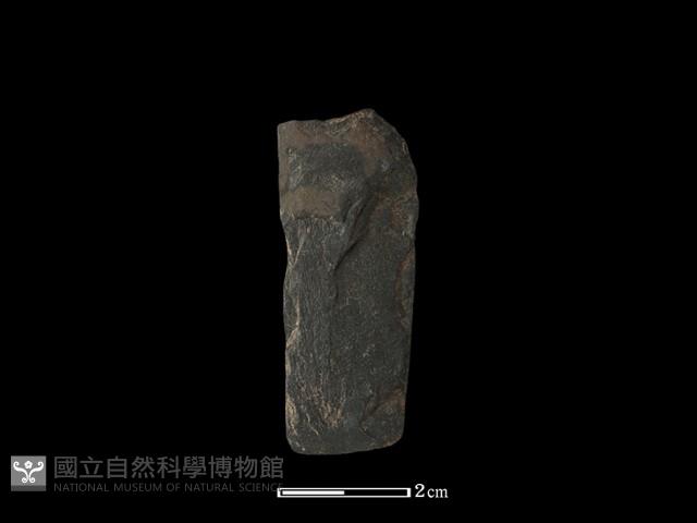 錛鑿形器藏品圖，第3張