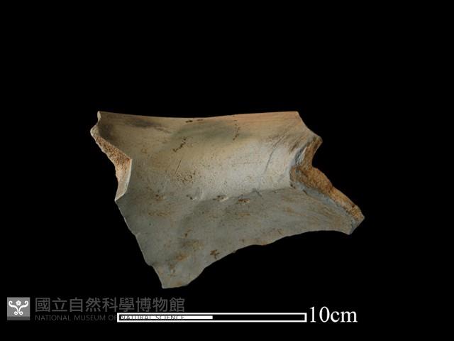 陶罐藏品圖，第1張