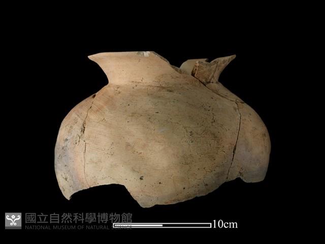 陶罐藏品圖，第1張