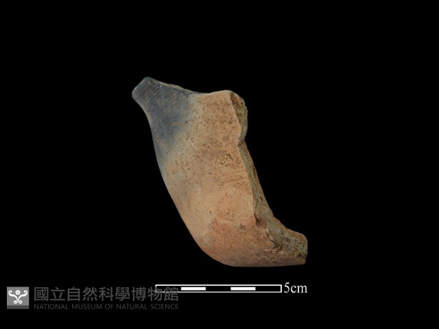 陶缽藏品圖，第1張