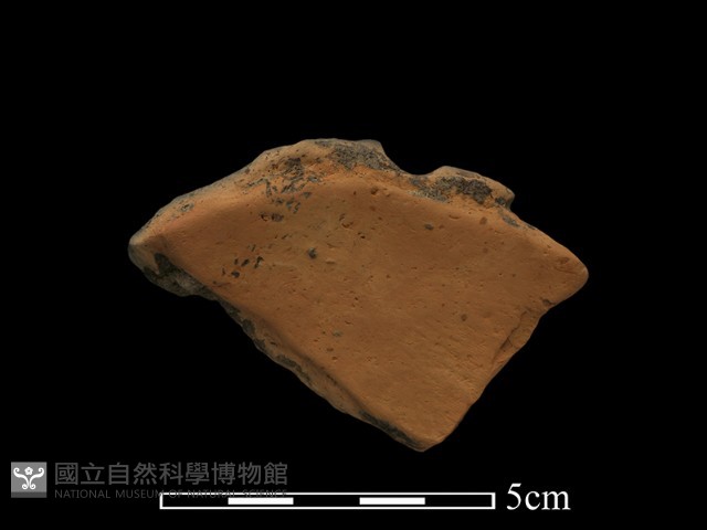 陶罐藏品圖，第1張