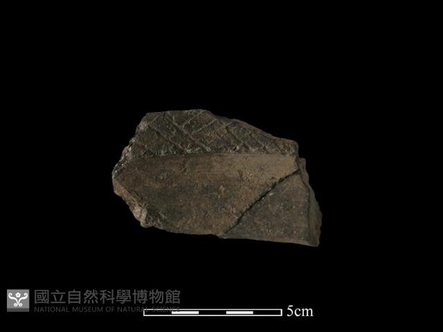 陶罐藏品圖，第3張