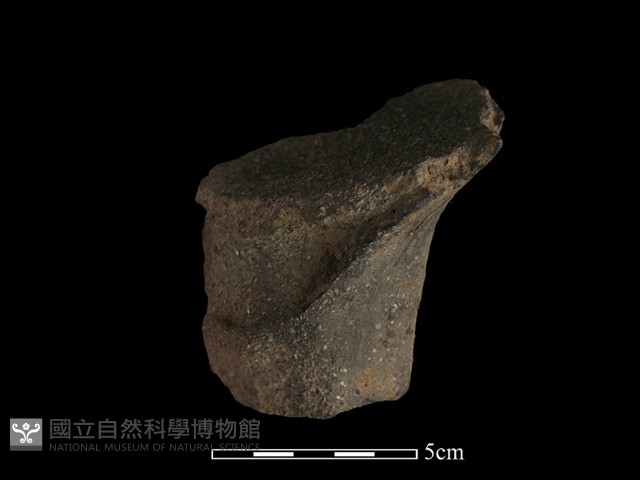 陶蓋藏品圖，第3張