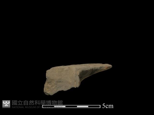 連杯形器藏品圖，第3張