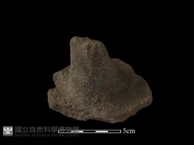 陶蓋鈕藏品圖，第3張