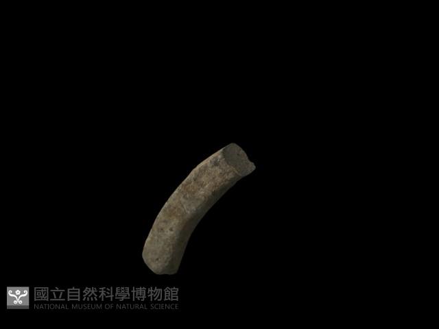 陶環藏品圖，第3張