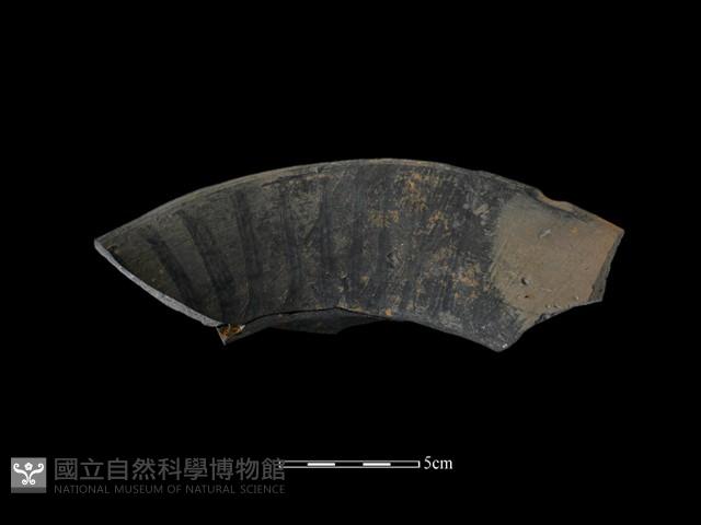 陶罐藏品圖，第2張