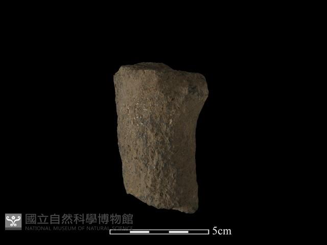 獸足藏品圖，第4張