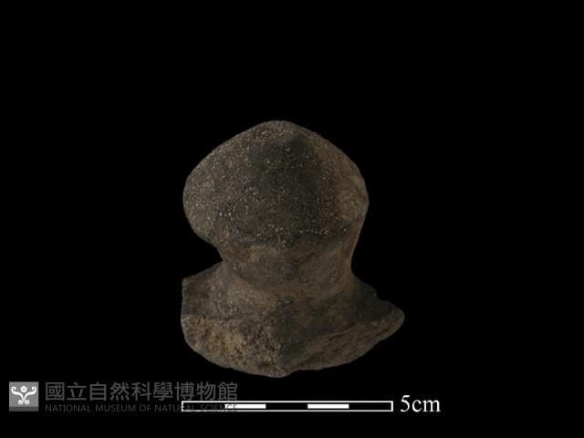 陶蓋鈕藏品圖，第3張