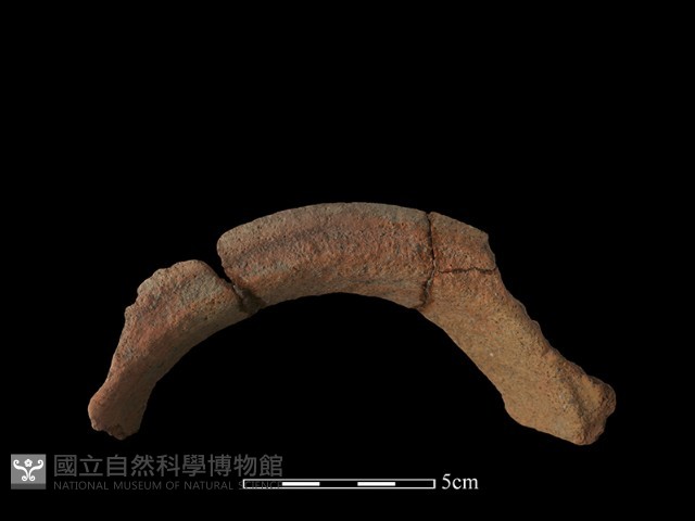 陶罐藏品圖，第3張