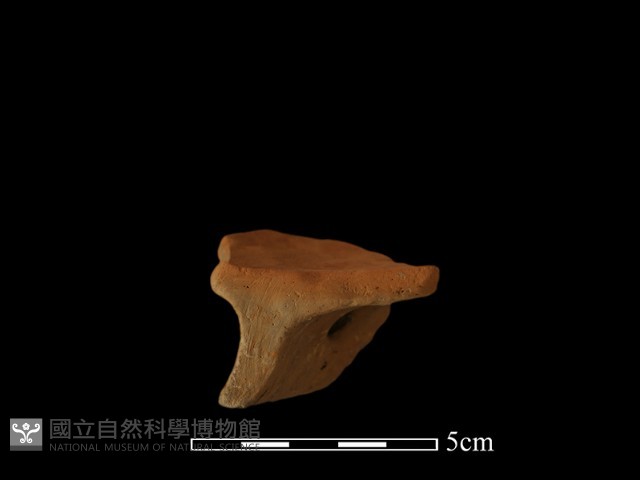 陶片藏品圖，第4張