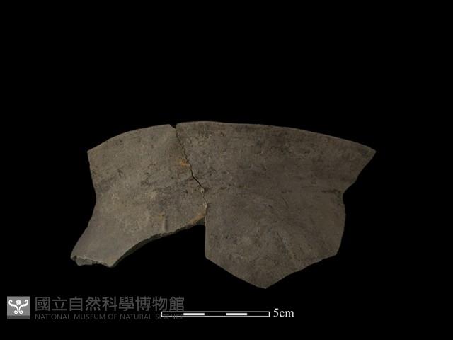 陶罐藏品圖，第3張