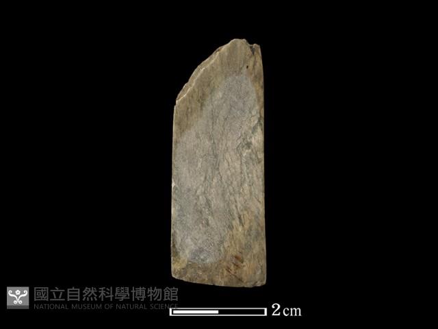 錛鑿形器藏品圖，第3張
