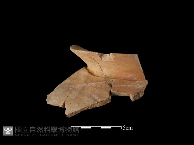 陶罐藏品圖，第2張