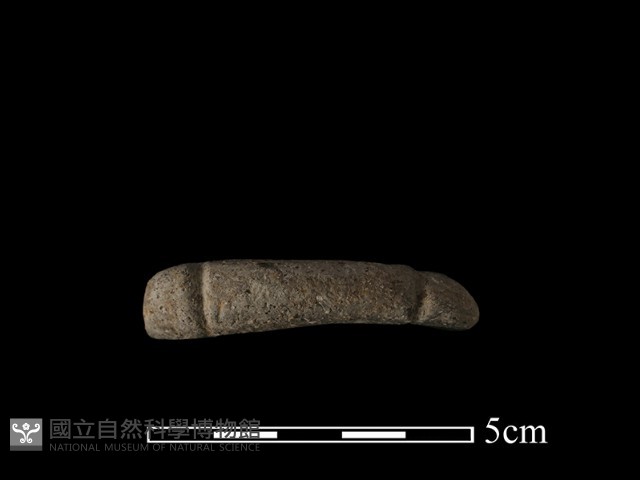 陶網墜藏品圖，第3張