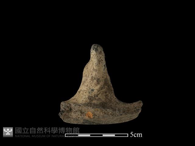 陶蓋鈕藏品圖，第1張