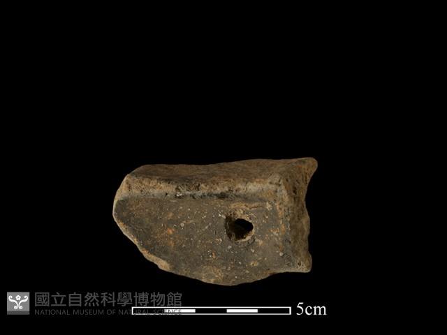 陶片藏品圖，第1張