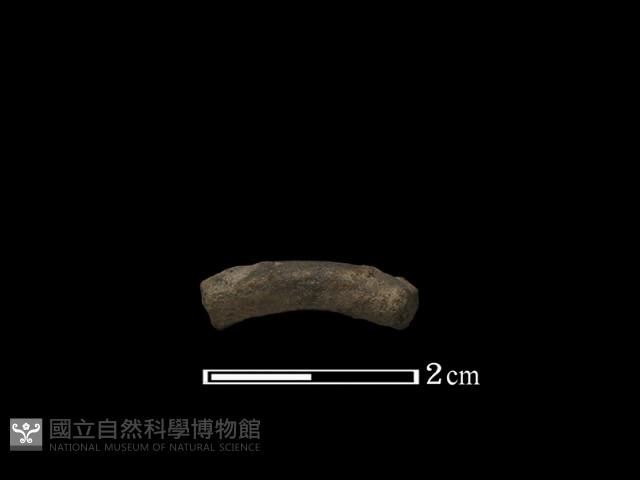 陶環藏品圖，第3張