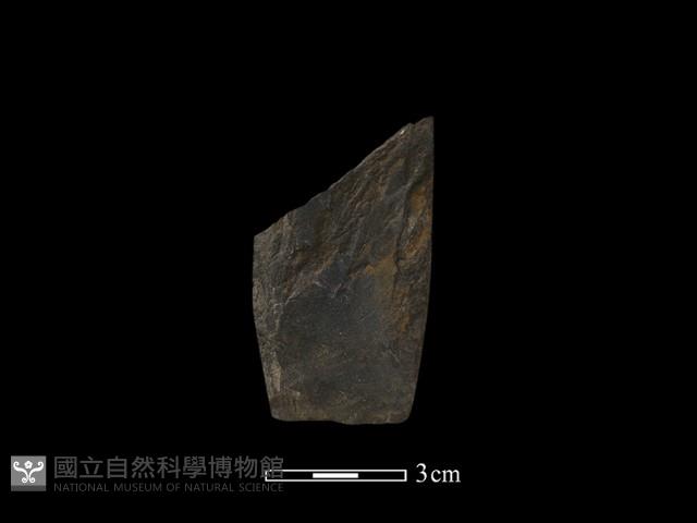 錛鑿形器藏品圖，第3張