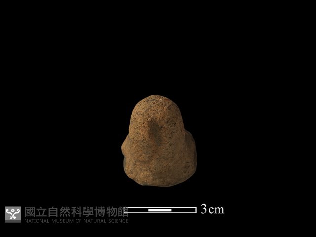 陶蓋鈕藏品圖，第3張