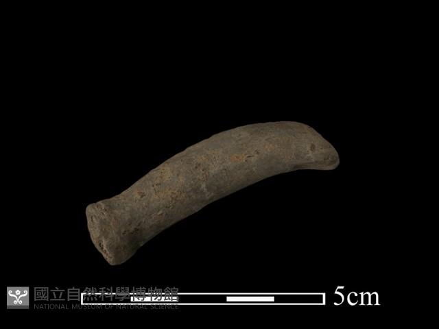 陶把藏品圖，第3張