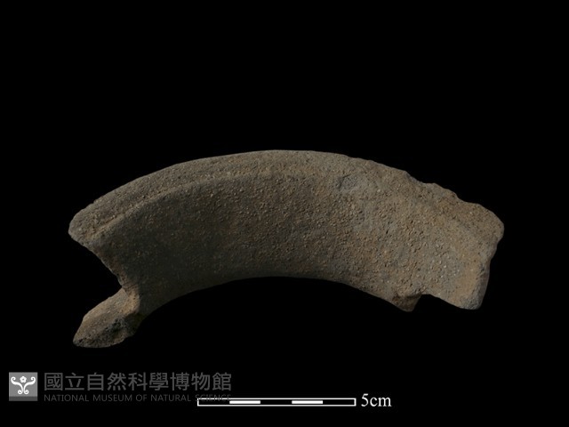 陶罐藏品圖，第4張