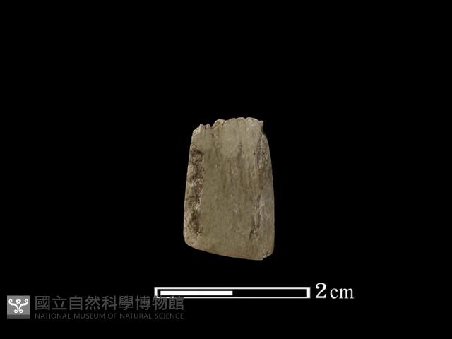 錛鑿形器藏品圖，第3張