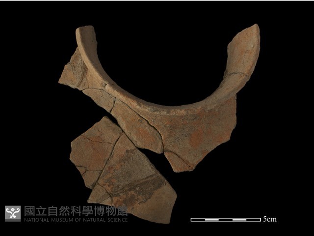 陶罐藏品圖，第3張